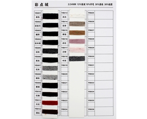 2 left slash 24nm color point velvet